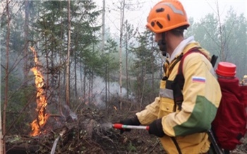 Лесным пожарным Красноярского края отправили подкрепление из Амурской области и Хакасии