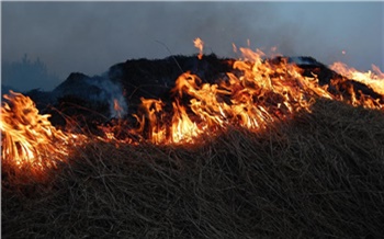 Стало скучно и холодно: ачинец устроил пожар на Солдатском пляже