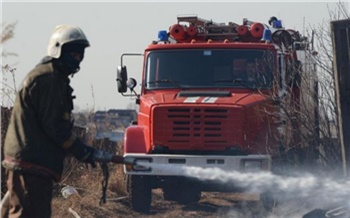 На поджигателей травы и виновников пожаров в Красноярском крае завели 1300 административных и 15 уголовных дел