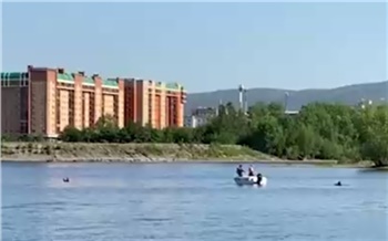 На Абаканской протоке в Красноярске катер задавил пловца
