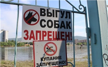 Возможные пляжи, закрытые Столбы и опасные паразиты: главные события в Красноярском крае за 26 мая