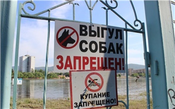 Красноярцам напомнили о штрафах за купание в запрещенных местах и назвали их адреса