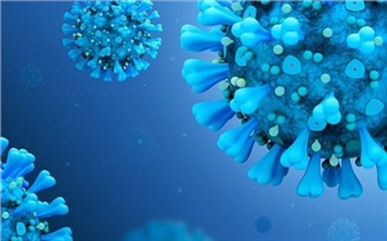В Красноярском крае выявили 49 новых случаев коронавируса