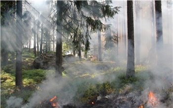 «Пик весенней горимости пройден»: дождь и огнеборцы потушили масштабные лесные пожары в Красноярском крае