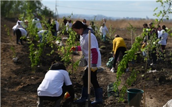 Акации, яблони и тополя: на красноярском полигоне «Шинник» высадили 100 деревьев