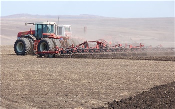 По итогам посевной в Красноярском крае аграрии перевыполнили план по посадке картофеля и севу рапса