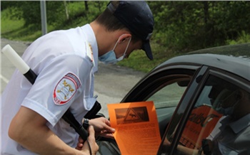 ГИБДД предупреждает водителей о диких животных на дорогах в Ачинском районе