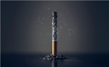 Роспотребнадзор рассказал красноярцам, какие продукты помогут отказаться от курения