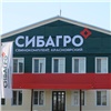 Красноярский свинокомплекс подтвердил качество и безопасность продукции на международном уровне
