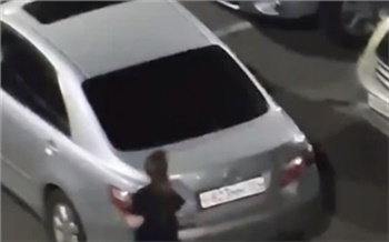 «Киборг-убийца»: красноярка исколотила иномарку на улице Елены Стасовой