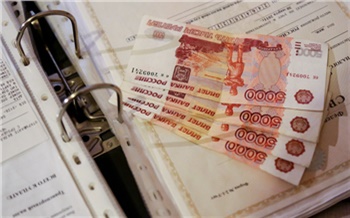 В Красноярском крае депутат лишился полномочий из-за отсутствия декларации о доходах