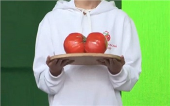Жительница Минусинска выиграла «Ладу Гранта» за самый большой помидор