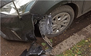 Стая собак погрызла несколько машин на правобережье Красноярска