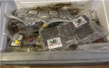 Более 36 кг наркотиков изъяли полицейские в Красноярске у оптового закладчика