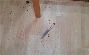 В Черемушках пьяный красноярец с ножом напал на полицейского. Дебошира обезвредили выстрелами