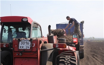 Восьми сельхозкооперативам Красноярского края дали 39 млн рублей по нацпроекту