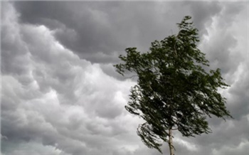 Жителей Красноярского края предупредили о потенциально опасной погоде в понедельник