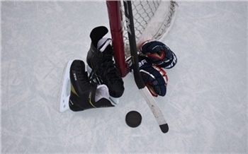 На хоккейном корте в Кодинске появится электронное табло за 220 тысяч рублей