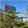 В Красноярске ради рекламного щита срезали верхушки деревьев на улице Молокова (видео)