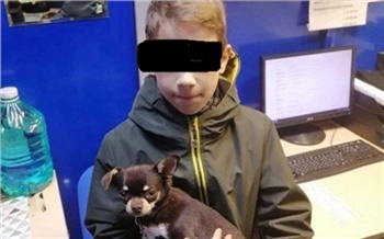 Стали известны новые подробности о пропаже в Красноярске 11-летнего мальчика с собакой