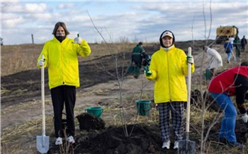 «Продолжение живой изгороди»: как экоактивисты высадили 350 деревьев на полигоне «Шинник»