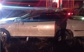 В Емельяновском районе мужчина перевернул машину в кювет и сбежал, бросив травмированного сына