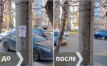 В Центральном районе Красноярска количество незаконной рекламы выросло в 6,5 раз