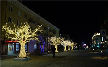 В центре Красноярска выставили световые деревья