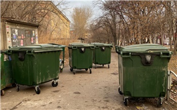 Чувствительные потери: с начала лета на левобережье Красноярска украли 67 мусорных баков