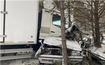 По дороге из Ачинска в Красноярск иномарка выехала на стречку и столкнулась с грузовиком. Погиб один человек