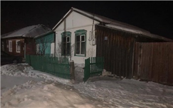 В Красноярском крае мать двух погибших детей признали невменяемой