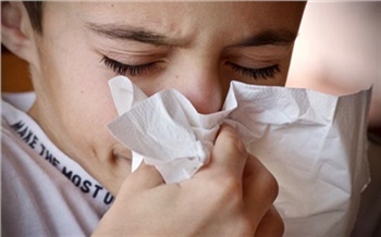 В Красноярском крае 39 школ перешли на дистант из-за вспышки гриппа