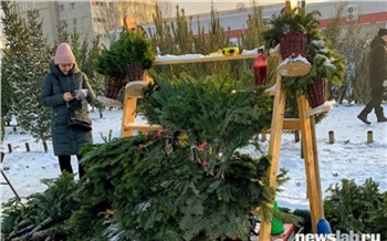 В Красноярском крае инспектируют елочные базары