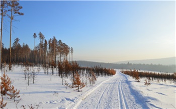 В Красноярском крае мужчина с 4-летней девочкой почти сутки провели на зимнике в заглохшей машине