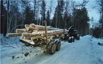 Лесосибирца уличили в контрабанде леса на сумму более 6 млн рублей: возбуждено 8 уголовных дел