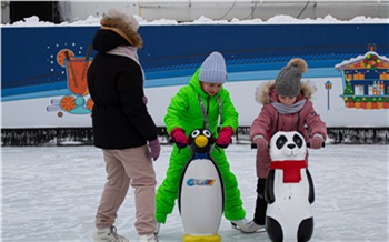 «Концерт оркестра, бой снежками и лыжные состязания»: в Красноярске отметят День снега