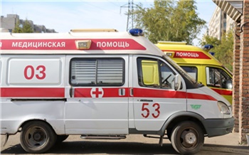 Водителей «скорой» в Красноярском крае наградили за спасение троих детей из воды