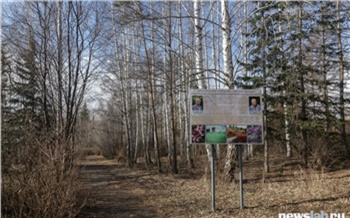 Красноярцы собирают подписи за сохранения статуса дендрария в Академгородке