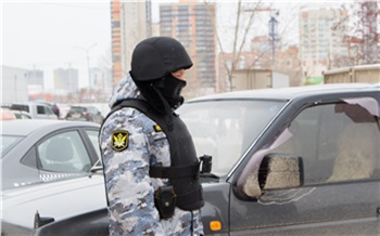 В Красноярске злостный нарушитель ПДД не захотел расставаться с BMW и оплатил все штрафы на дороге