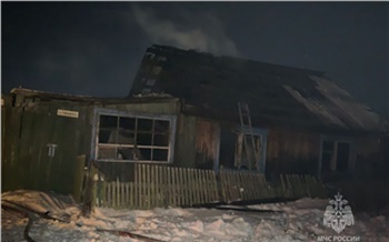 В Красноярском крае при пожаре в бревенчатом доме погиб мужчина