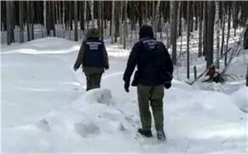 Опубликовано видео с места обнаружения останков красноярки Нины Кузьминой