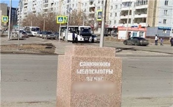 Красноярский Роспотребнадзор продолжит штрафовать за «липовые» санкнижки