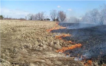 На юге Красноярского края загорелась сухая трава