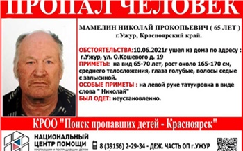 Жителей Красноярского края просят помочь в поисках пропавшего почти два года назад пенсионера