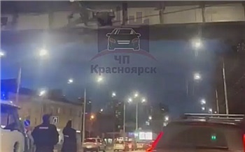 «Грыз троллейбусные провода»: полицейские сняли с виадука неадекватного красноярца