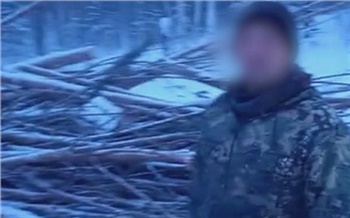 В Енисейском районе местный житель обманул лесозаготовщиков и срубил сосны на сумму больше миллиона рублей