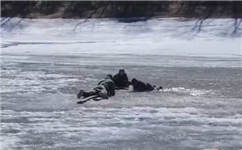Мальчик провалился под лед на Братском водохранилище. Его спасли очевидцы