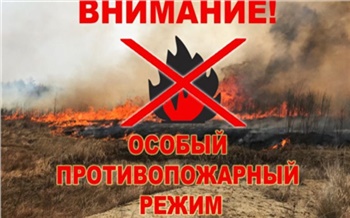 Еще в 4 районах Красноярского края ввели особый противопожарный режим