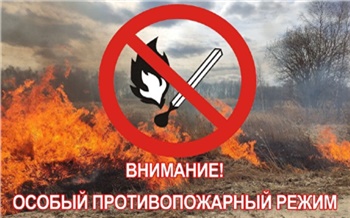 Еще в 9 территориях Красноярского края ввели особый противопожарный режим