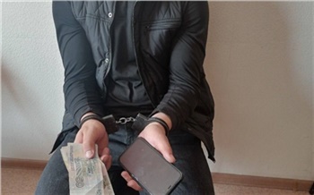 Мошенники сдали полиции Железногорска обманувшего их курьера